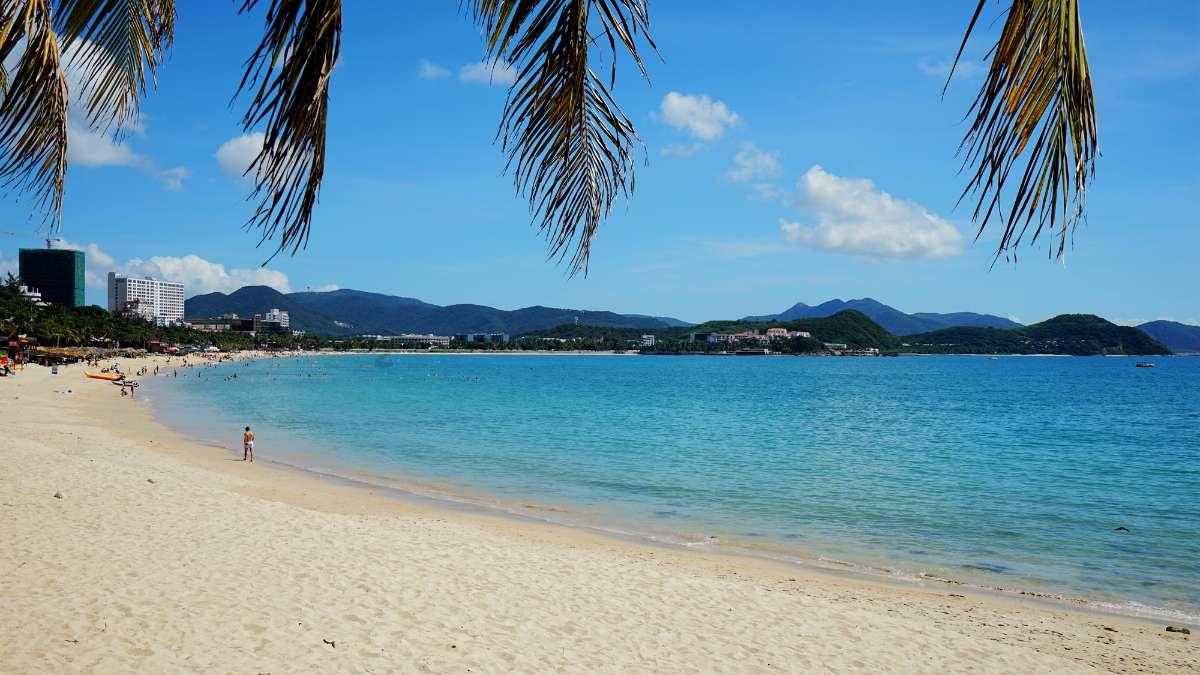 全民烧脑3去广告版