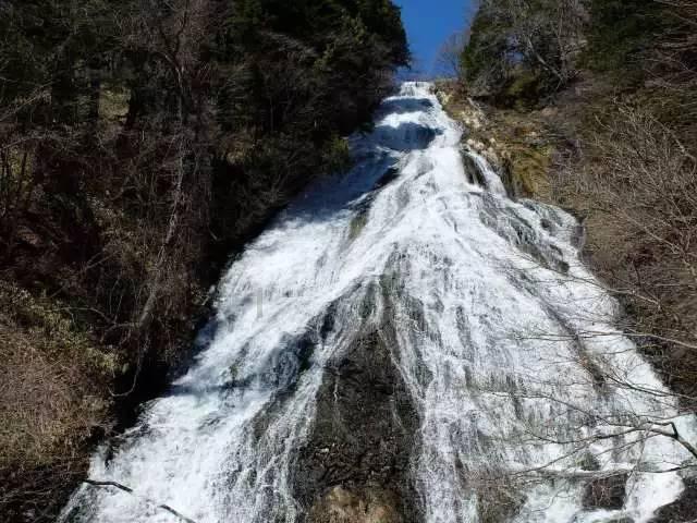 虫虫助手下载