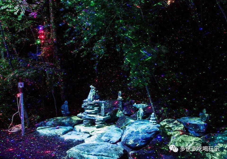 拯救精灵的土地6